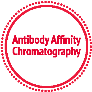 Questions on Antibody Affinity